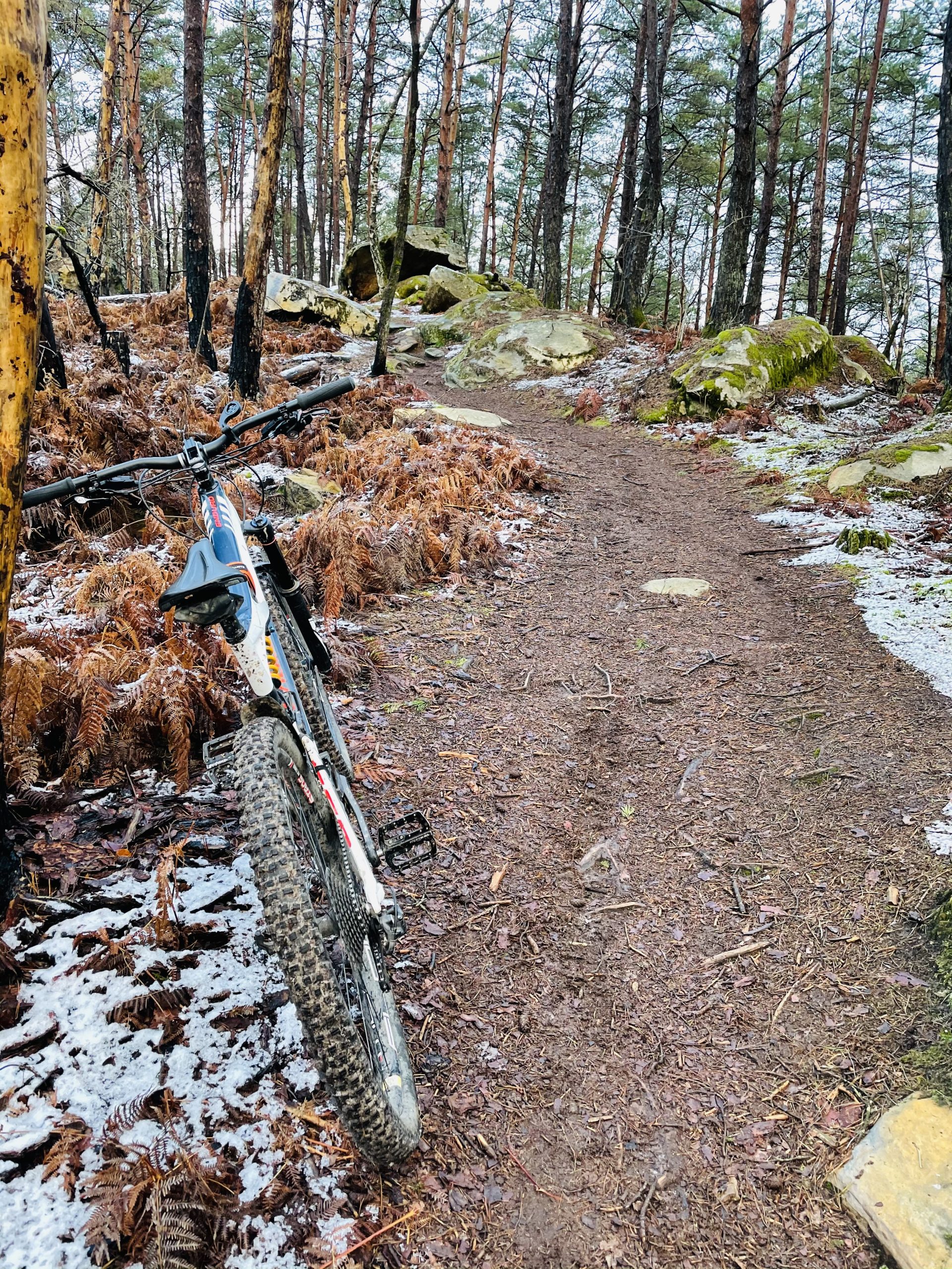 Atelier Fontainebleau Bike Shop