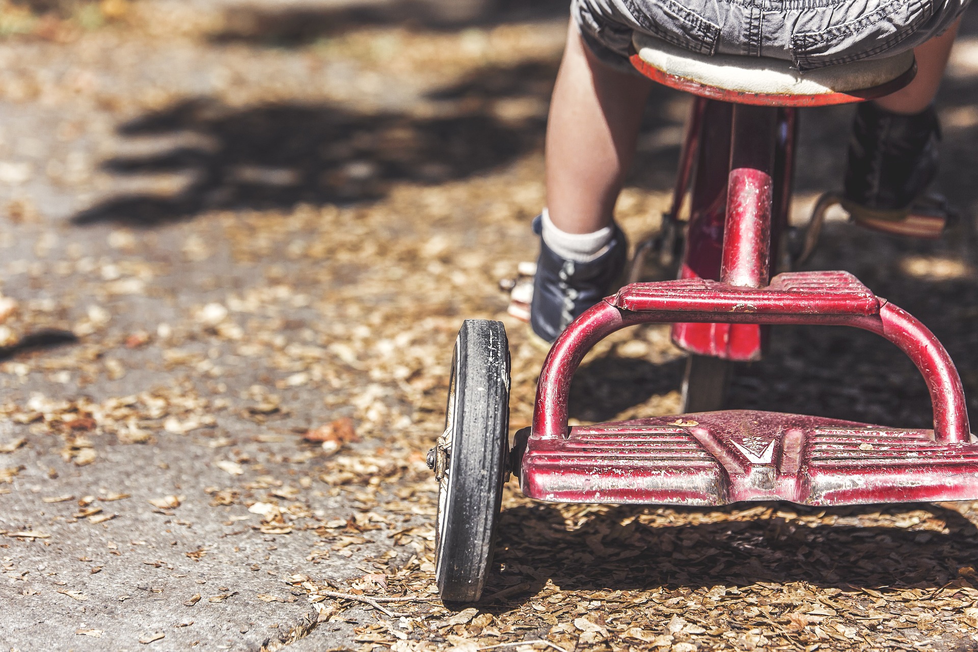 Enfant à vélo Fontainebleau