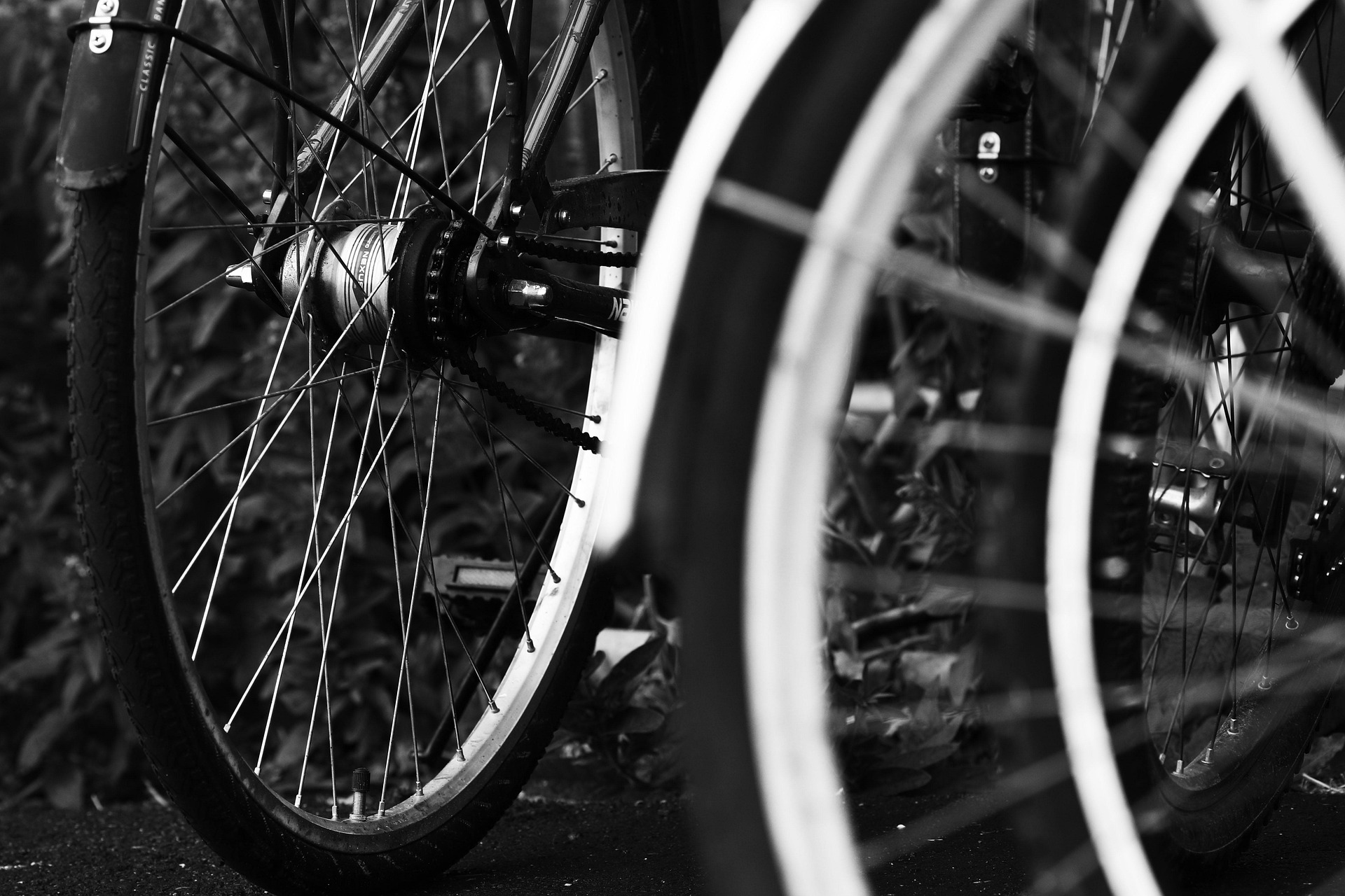 Roue VTT Fontainebleau Bike Shop